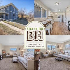 Downtown Condo | Lower Level