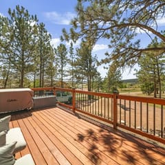 Ponderosa Pine Escape