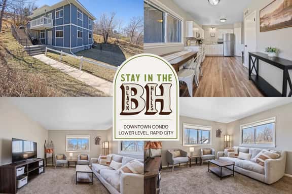 Downtown Condo | Lower Level - Image 1