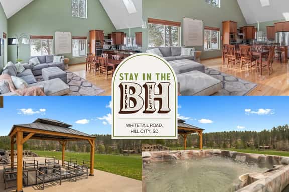 Whitetail · Leighton's Lodge-Hot Tub-Borders National Forest - Image 1