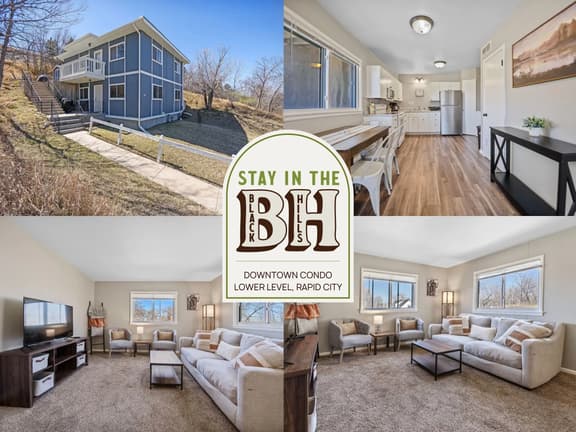 Downtown Condo | Lower Level
